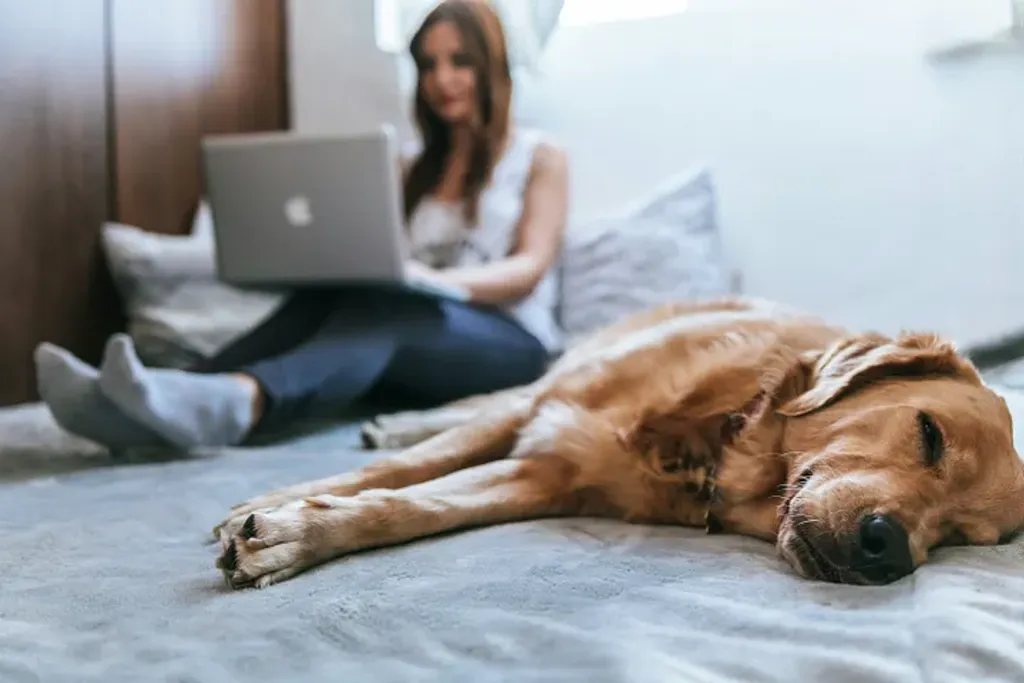 Happy Paws Blog