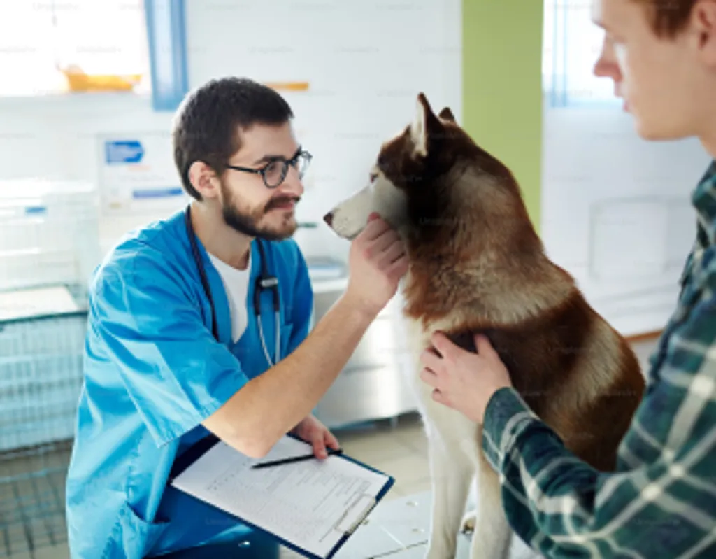 Pet Happiness Hub