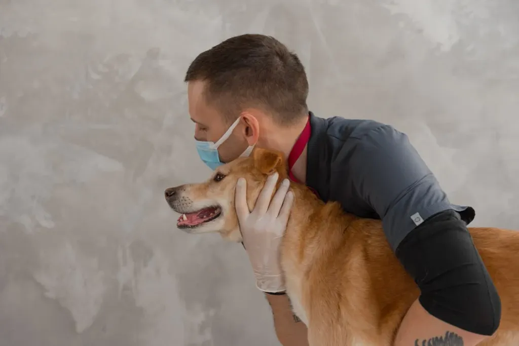 Pets & Paws Paradise
