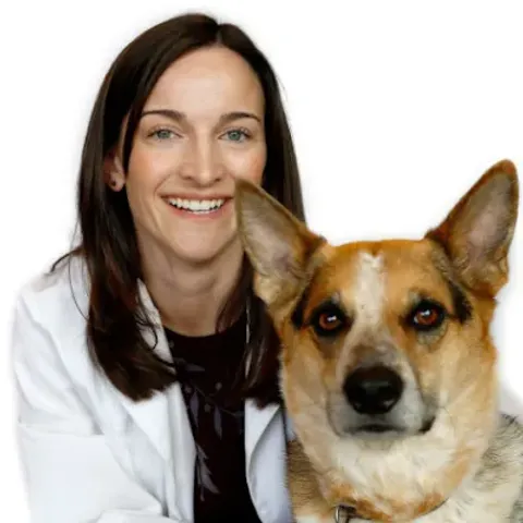 Dr. Aarav 4